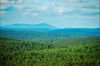 14 rutas de senderismo de Arkansas que seguramente te encantarán