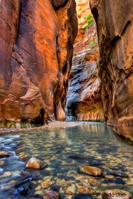 6 maravillosas rutas de senderismo del cañón Zion que querrás recorrer