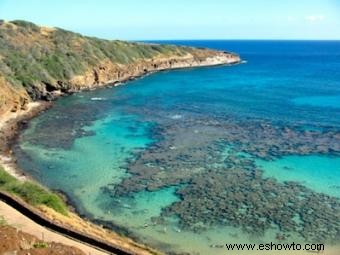 7 rutas de senderismo de Oahu que te recordarán la belleza de la naturaleza