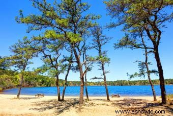 Guía de inicio para acampar en Cape Cod:disfrutar de la playa