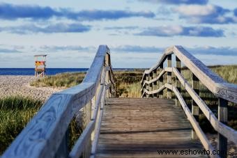 Guía de inicio para acampar en Cape Cod:disfrutar de la playa