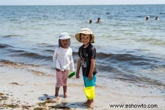 Guía de inicio para acampar en Cape Cod:disfrutar de la playa