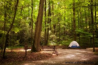 Campamentos en Charleston S.C. que prometen una experiencia escénica