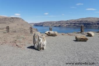 Campings en el estado de Washington:elegir el adecuado