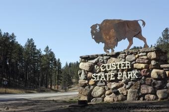 Acampar en el Parque Estatal Custer:una guía esencial (para aprovecharlo al máximo)