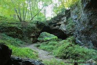 Acampar en los parques estatales de Iowa:campamentos y actividades 