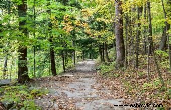 Acampar en Ohio:15 hermosos campamentos para su próximo viaje 