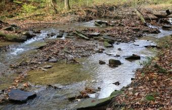 Acampar en Ohio:15 hermosos campamentos para su próximo viaje 