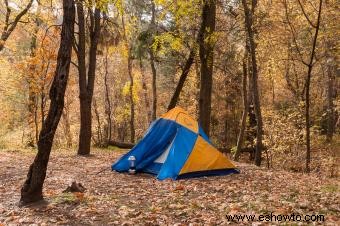 Acampar en Sedona:7 hermosos lugares para escapar 