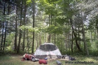 Camping en Wisconsin:7 mejores campings para un viaje espectacular 