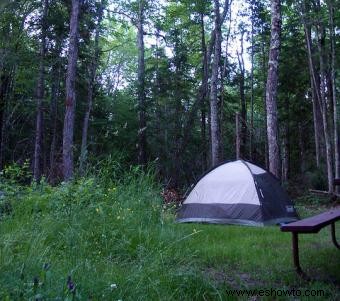 Camping en Wisconsin:7 mejores campings para un viaje espectacular 