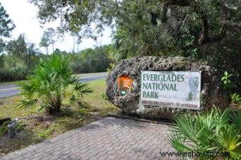 Parque Nacional Everglades:una guía para planificar su visita 