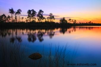 Parque Nacional Everglades:una guía para planificar su visita 