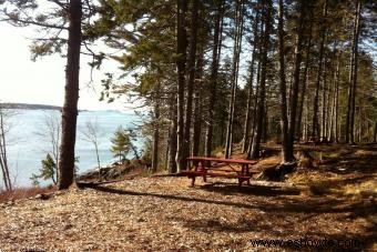 Camping frente al mar en Maine:5 lugares que te dejarán sin aliento