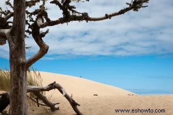 Camping en las dunas de arena de Oregón:lugares populares para visitar