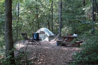 Los mejores campamentos en Carolina del Norte listos para albergar tu próxima aventura