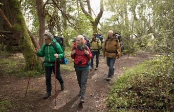 10 juegos y actividades de campamento en grupo para adultos