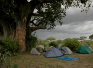 Cómo Mantener Seca Tu Tienda de Campaña: Guía Experta para Protegerte de la Lluvia