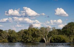 Cruceros por el río África 