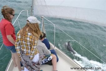 Cruceros con delfines en Orange Beach
