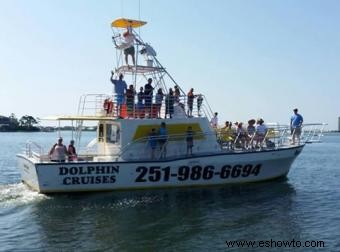 Cruceros con delfines en Orange Beach