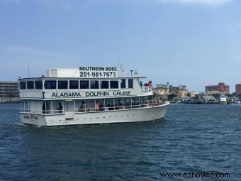 Cruceros con delfines en Orange Beach