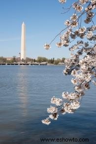 Cruceros por el río Potomac 