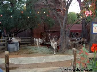 La mejor época del año para ir a Disneyland 