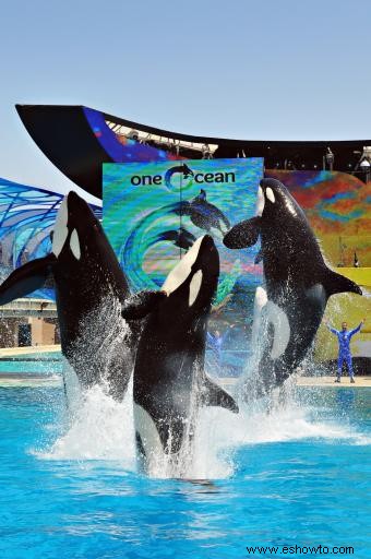 Consejos para visitar SeaWorld San Diego