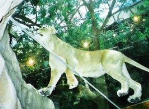 MGM Grand Adventures: El Parque Temático Olvidado de Las Vegas y su Legado