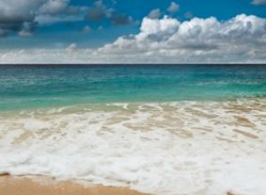 Los Mejores Parques Temáticos de Miami: Diversión Familiar Garantizada