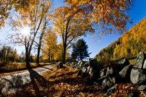 Bed &Breakfasts en Maine 