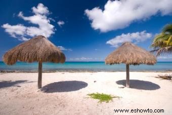 Qué hacer en Cozumel México 