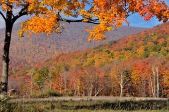 Grandes lugares para ver el follaje de otoño 