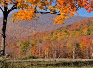 Los 10 Mejores Destinos en EE.UU. para Disfrutar del Espectacular Follaje Otoñal
