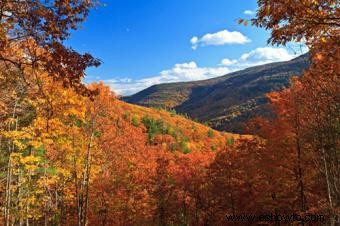 Grandes lugares para ver el follaje de otoño 