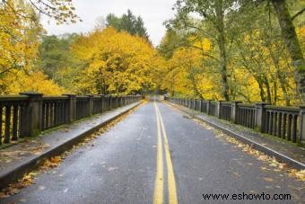 Grandes lugares para ver el follaje de otoño 