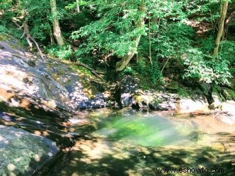 Parque Nacional Shenandoah 