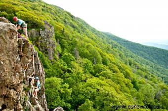 Parque Nacional Shenandoah 