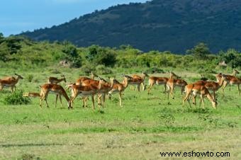 Principales destinos de ecoturismo 