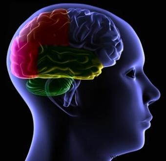 ¿Puede sanar el cerebro autista? 