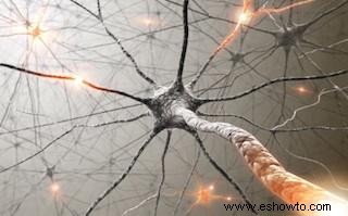Las neuronas espejo como causa del autismo 
