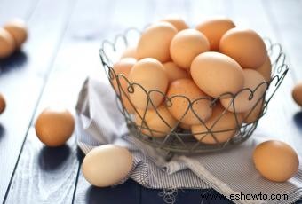 Nutrición de huevo
