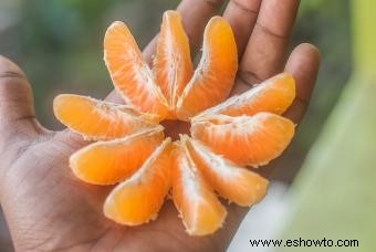 Nutrición de naranja