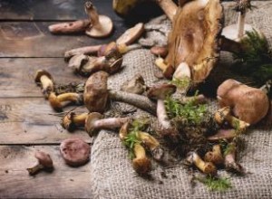 ¿Por qué están prohibidos los champiñones en la dieta hCG? Razones y alternativas saludables