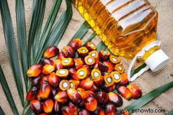¿Es mejor el aceite de palma?