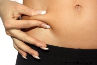 ¿Qué alimentos causan la grasa del vientre? 
