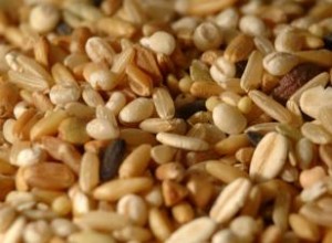 Guía completa sobre la fibra dietética: beneficios, cantidades y consejos para incluirla