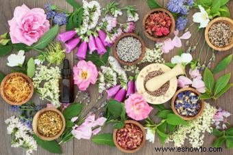 Ventajas y desventajas de la medicina herbal