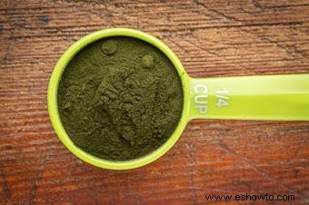 Chlorella